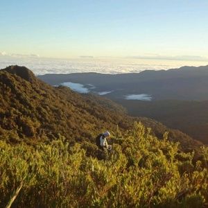 Meet your Posher, Brady